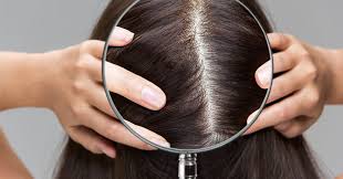 Why Most Hair Problems Start at the Scalp (And What to Actually Do About It)